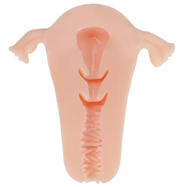 Soft Uterus Masturbator, Vaginal Cup, Real Female Model, Real Vagina for Men, Anal Sex, Deep Uterus, Sex, Prostate Stimulator, Sextoy