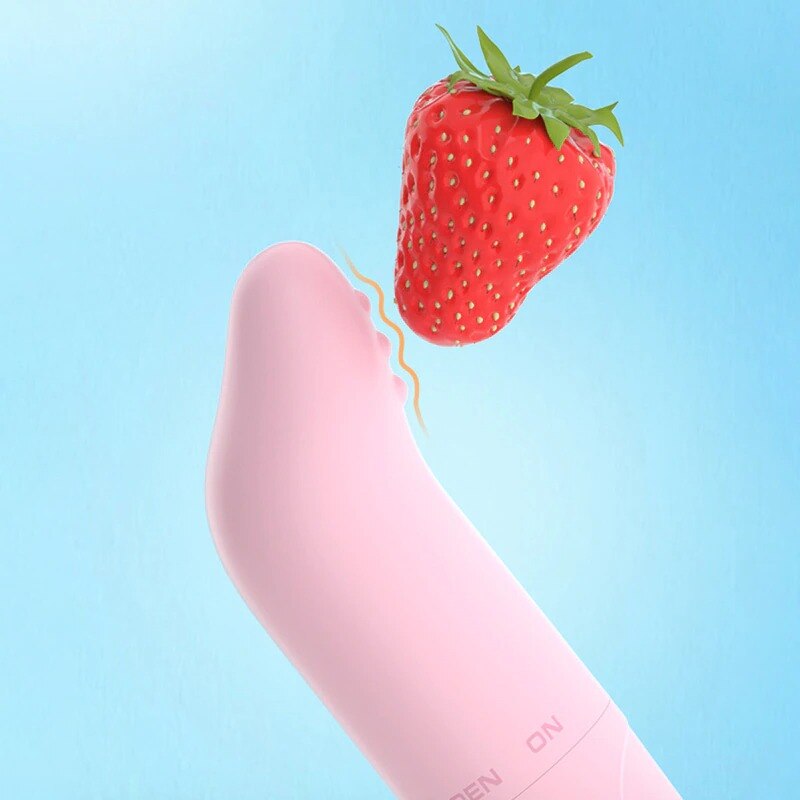 Safe Dolphin Vibrator Egg Secret Bullet Vibrator Clitoris Stimulator G-Spot Masturbator Quiet Masturbator for Women Sex Toys for Women