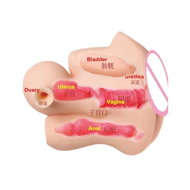 Soft Uterus Masturbator, Vaginal Cup, Real Female Model, Real Vagina for Men, Anal Sex, Deep Uterus, Sex, Prostate Stimulator, Sextoy