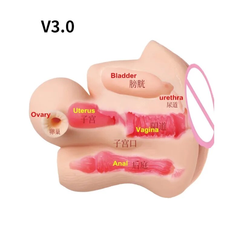 Soft Uterus Masturbator, Vaginal Cup, Real Female Model, Real Vagina for Men, Anal Sex, Deep Uterus, Sex, Prostate Stimulator, Sextoy